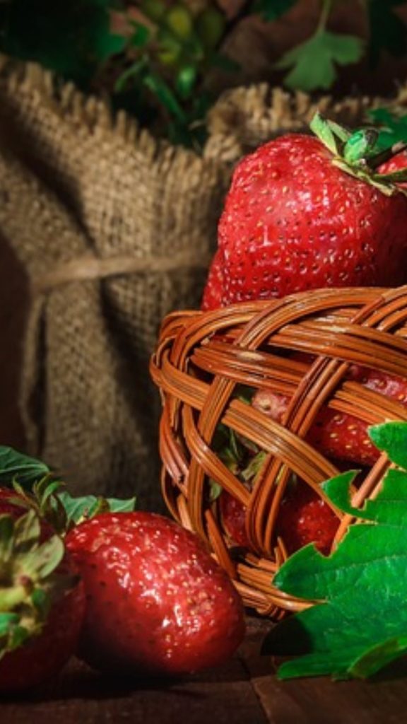 Closeup strawberry basket at strawberry farm_strawberry field wallpaper