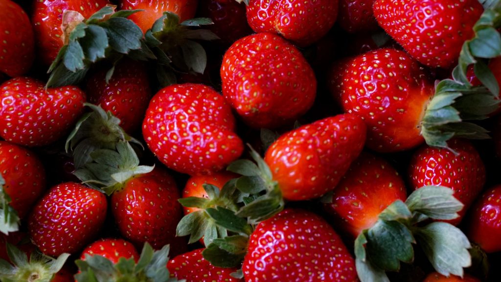 Farm fresh red strawberries strawberry desktop wallpaper