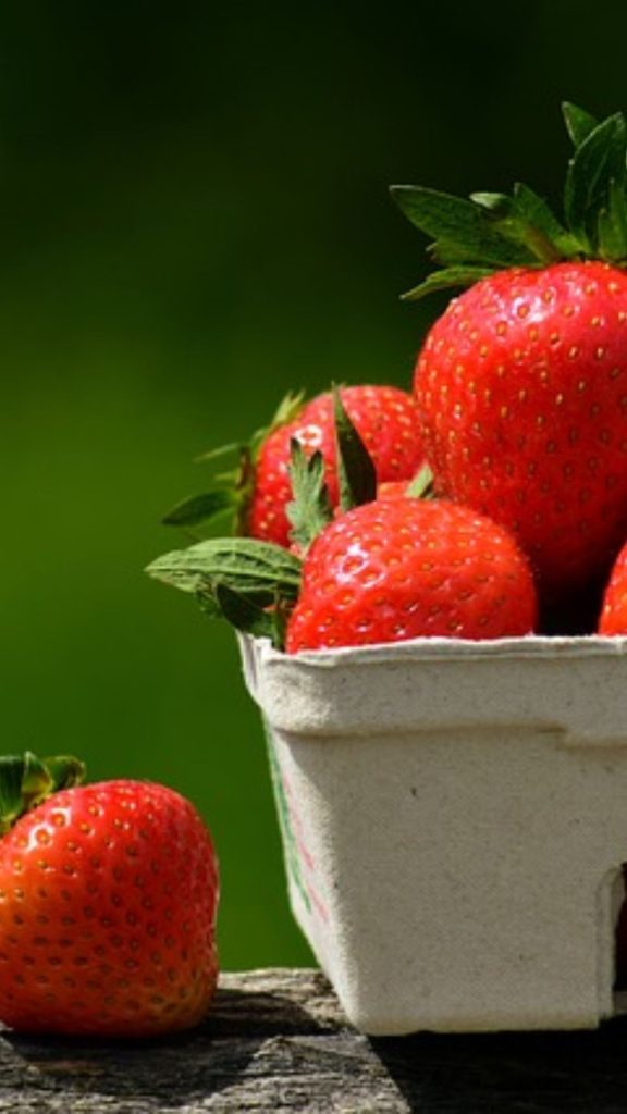Red juicy strawberries in cardboard box and blurred green background strawberry phone wallpaper