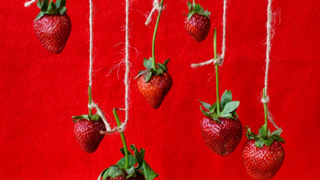Strawberries hanging with ropes on dark red background Strawberry desktop wallpapers