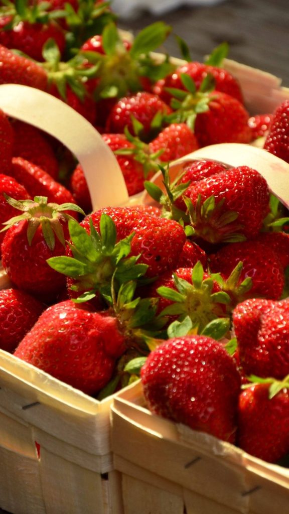 Strawberry patch strawberry wallpaper