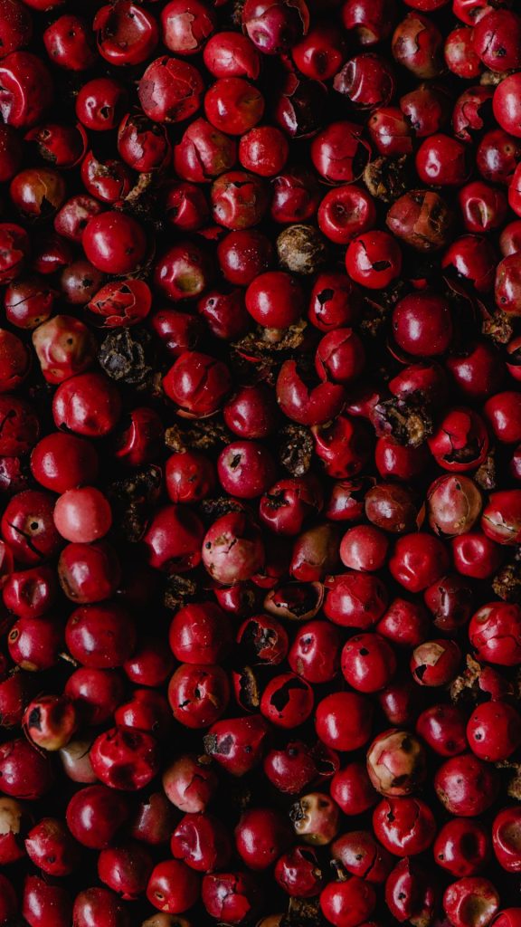 Cherry covered background with red and dark red cherries aesthetic cherry wallpapers