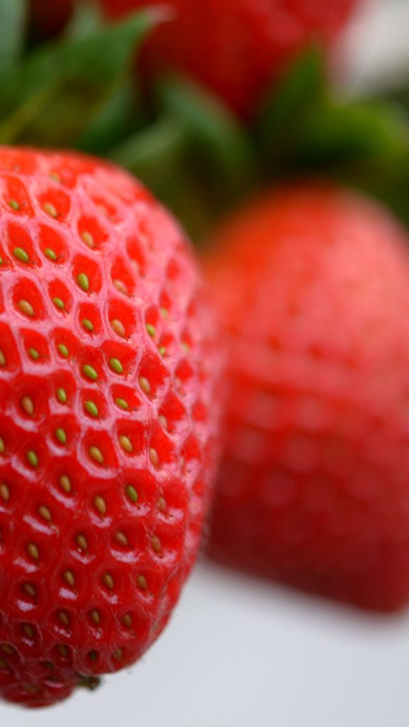 Farm fresh red strawberries and blurred scene Strawberry Background Wallpaper