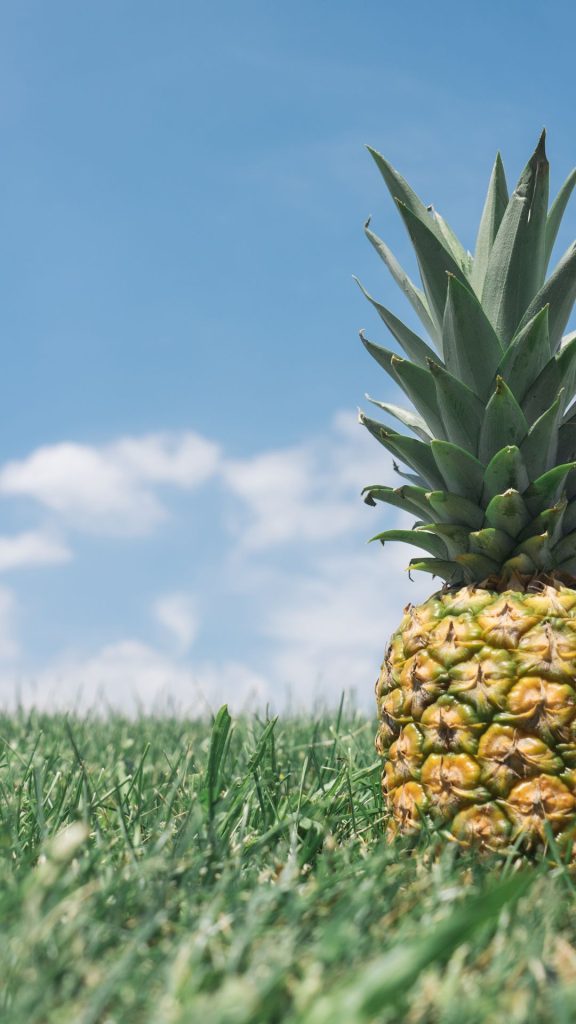 Pineapple placed on green grass with sky background Pineapple wallpaper