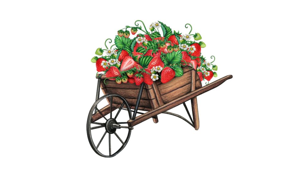 Strawberry Desktop Background HD