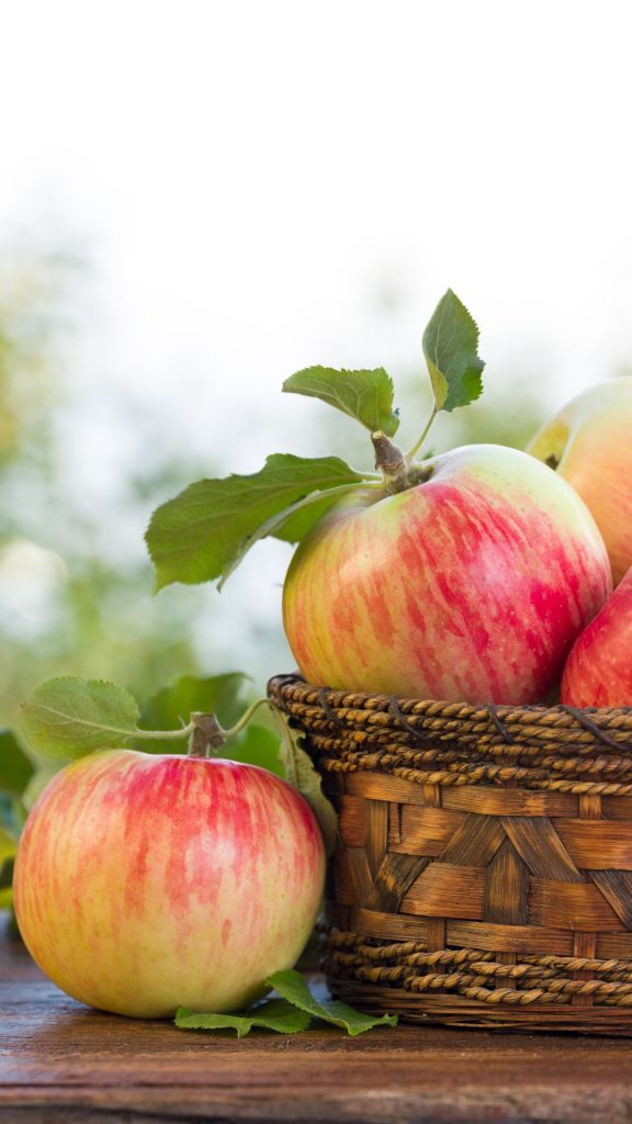Vintage basket apple wallpapers