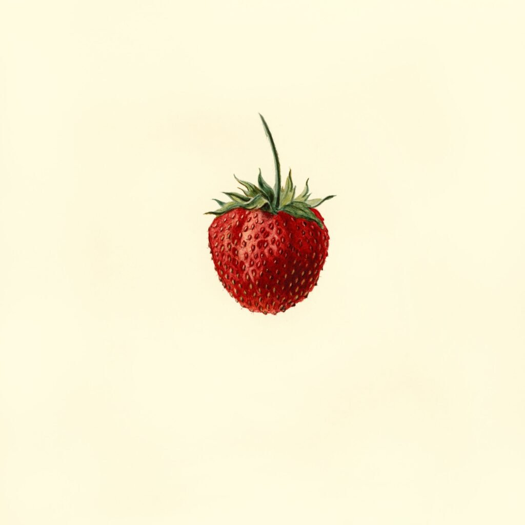 Vintage strawberry home screen wallpaper