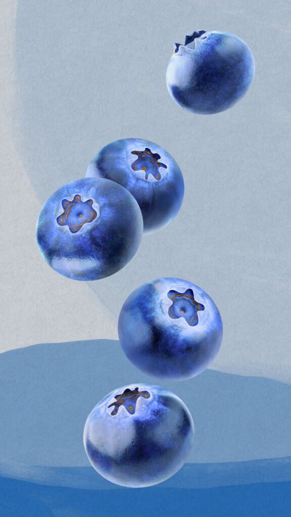 Soft aesthetic blueberry cartoon art aesthetic blueberry wallpaper