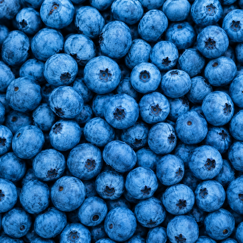 A sea of blueberries in detail