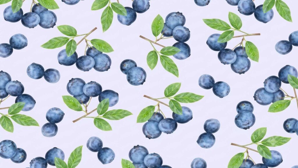 Aesthetic blueberry wallpaper for pc