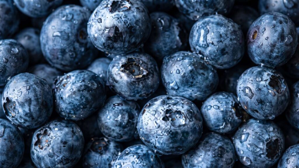 Aesthetic blueberry wallpaper iphone