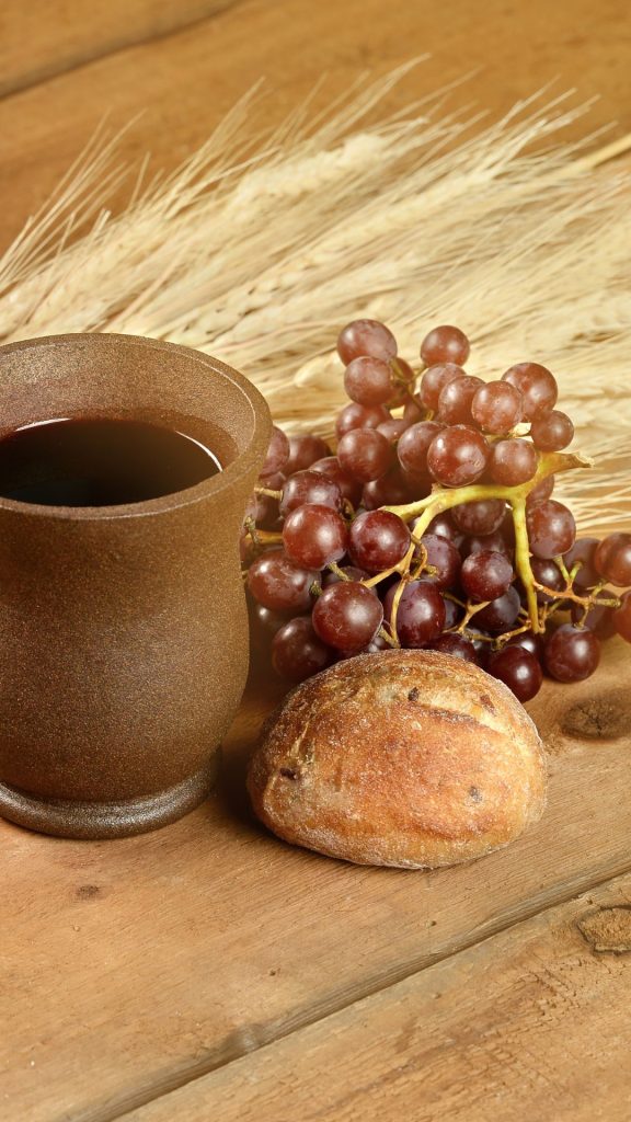 Aesthetic decorations purple grapes wallpaper