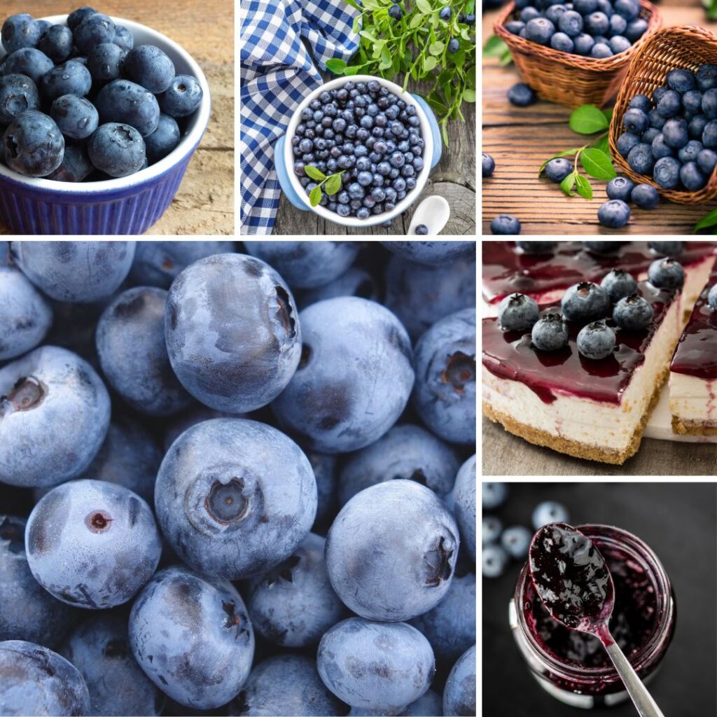 Blue Photo Collage Blueberries Instagram Post
