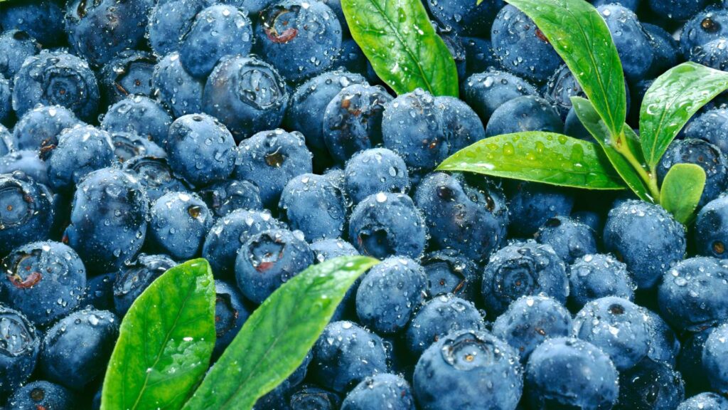 Blueberry Basket Wallpaper