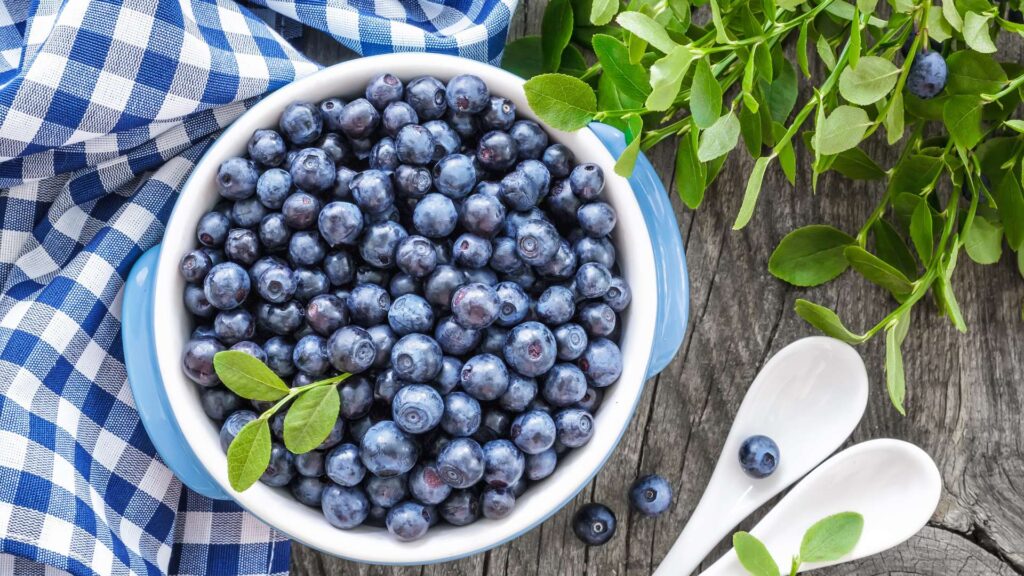 Blueberry Blossom Wallpaper