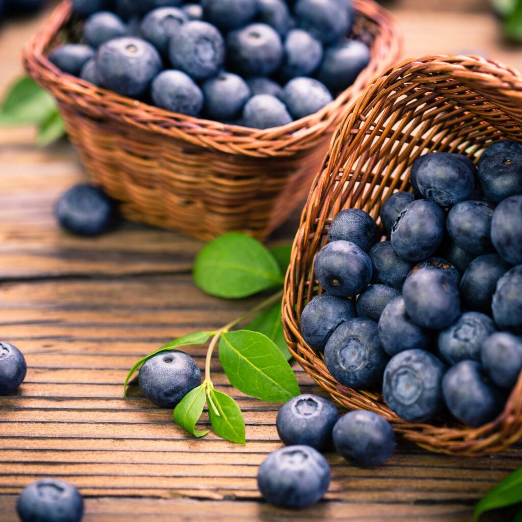 Blueberry Cartoon Wallpaper