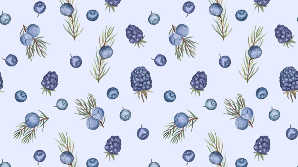 Blueberry Fruit Wallpaper