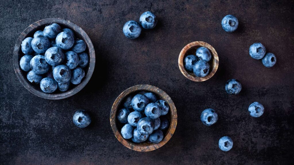 Blueberry Garden Wallpaper