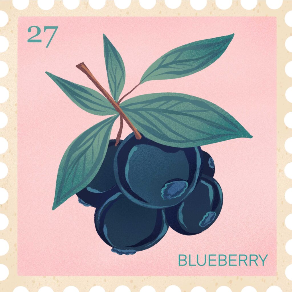 Blueberry Laptop Wallpaper