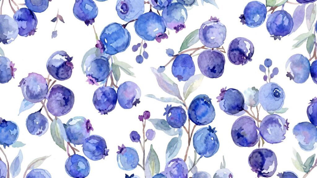 Blueberry Macro Wallpaper