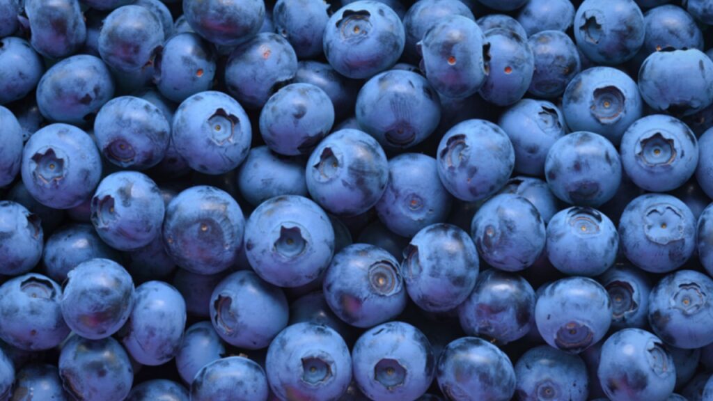 Blueberry Mobile Background