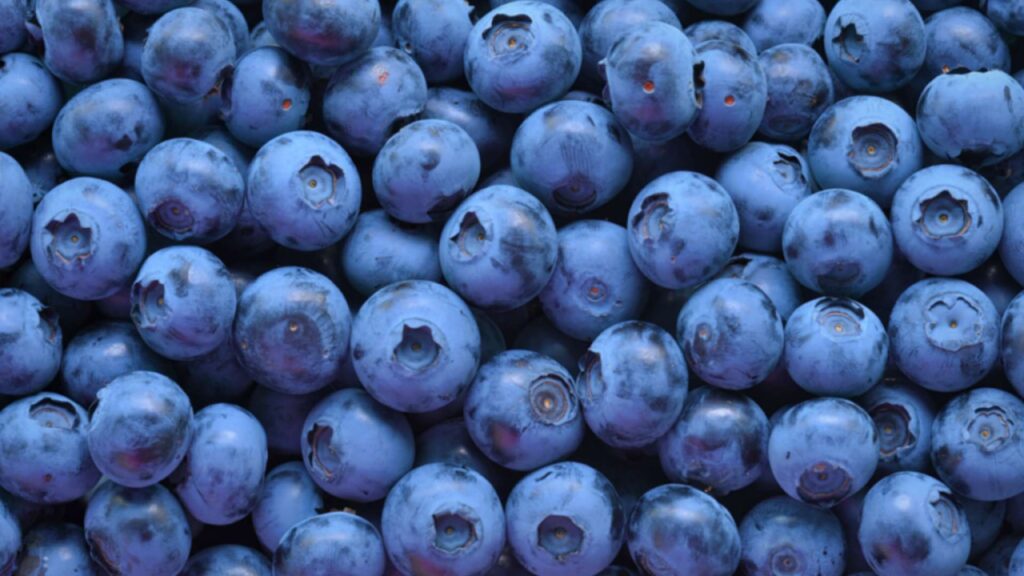 Blueberry Wallpaper Clean Design