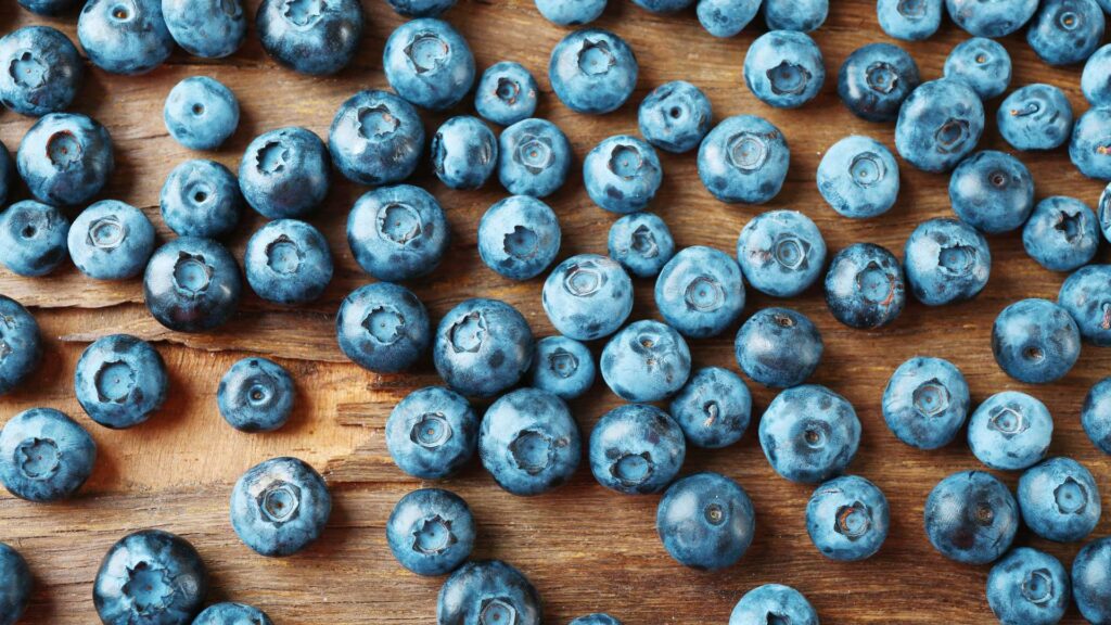 Blueberry Wallpaper Cute Berries