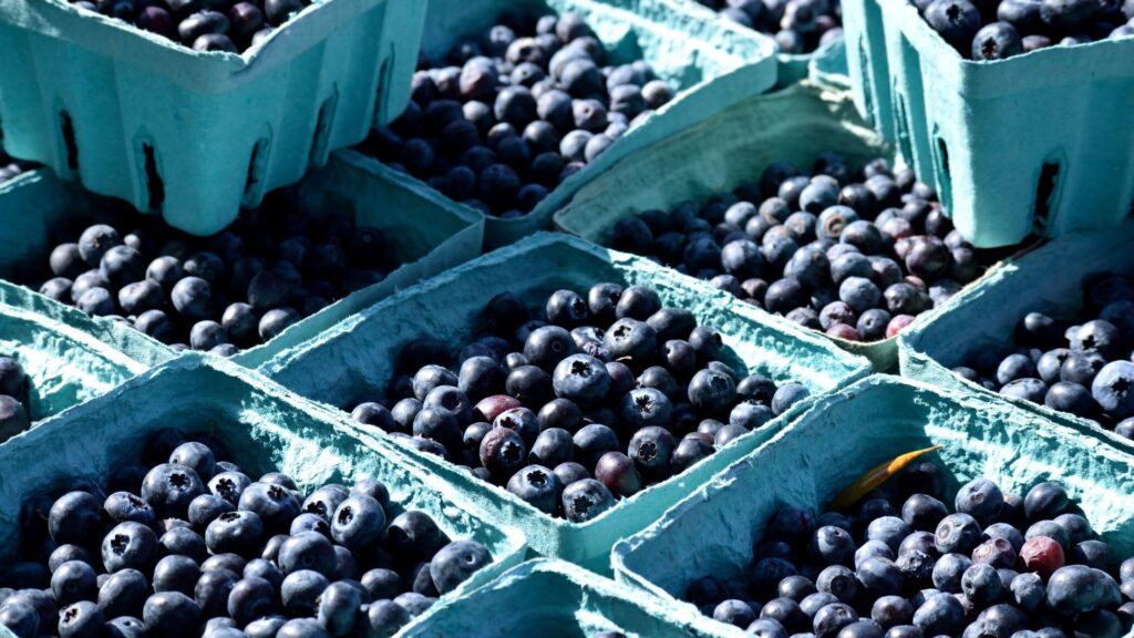 Blueberry Wallpaper Cute Pattern