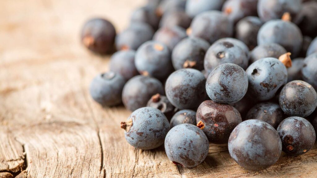 Blueberry Wallpaper Elegant Look