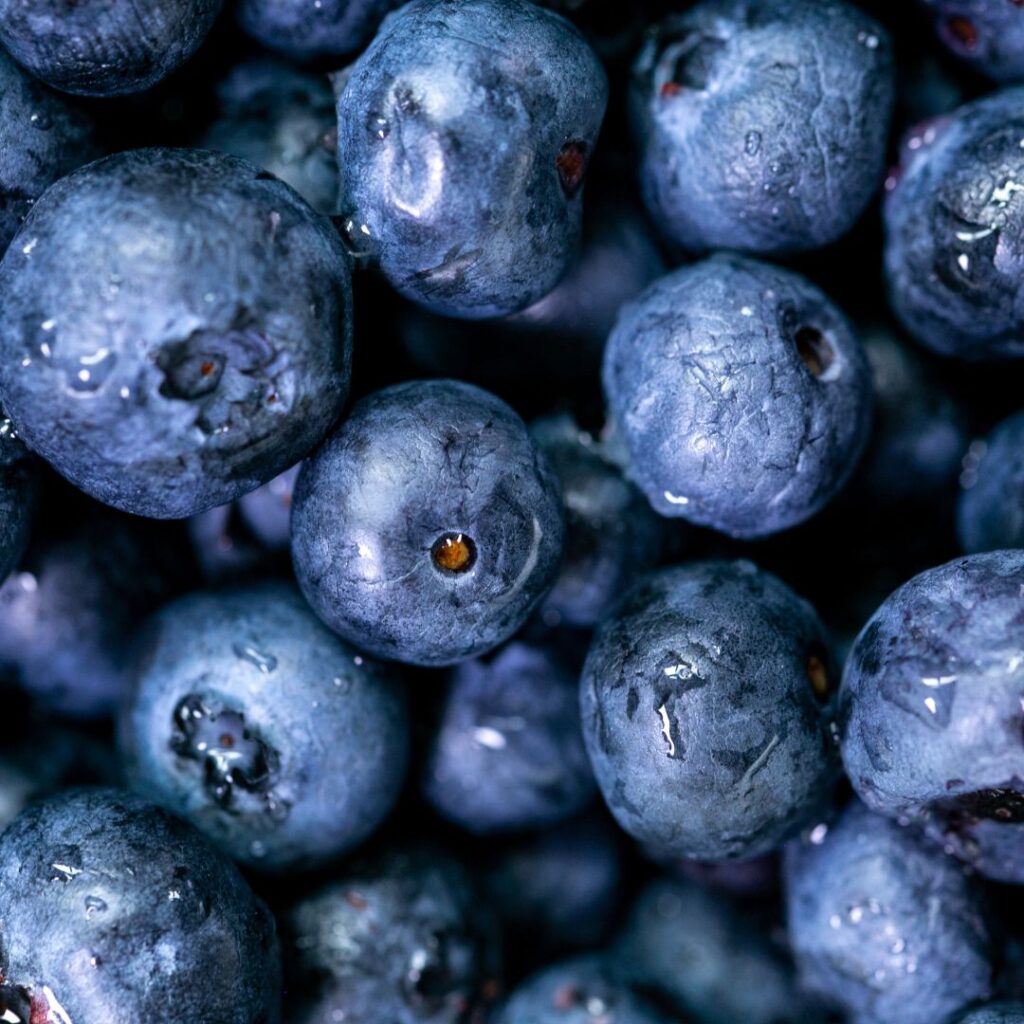 Blueberry wallpaper 3d