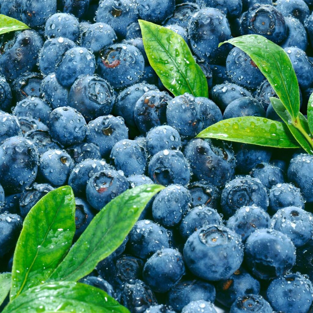 Blueberry wallpaper aesthetic girl download