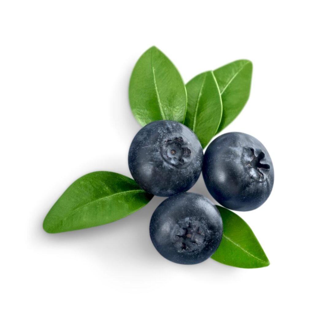 Blueberry wallpaper aesthetic girl download iphone