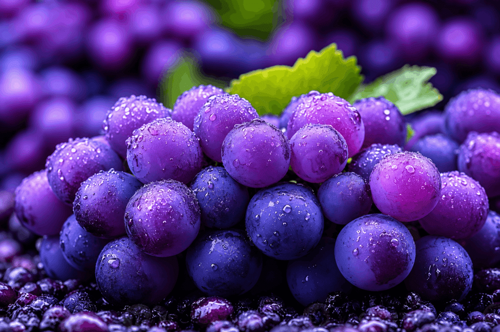 Close-up of fresh purple grapes