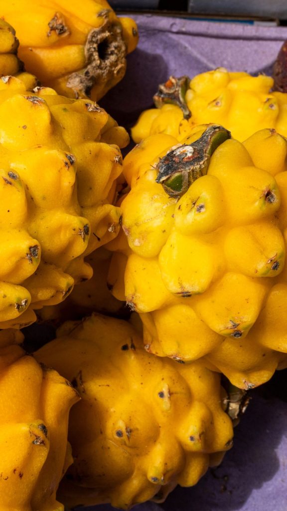 Close up photograph yellow dragon fruit wallpaper