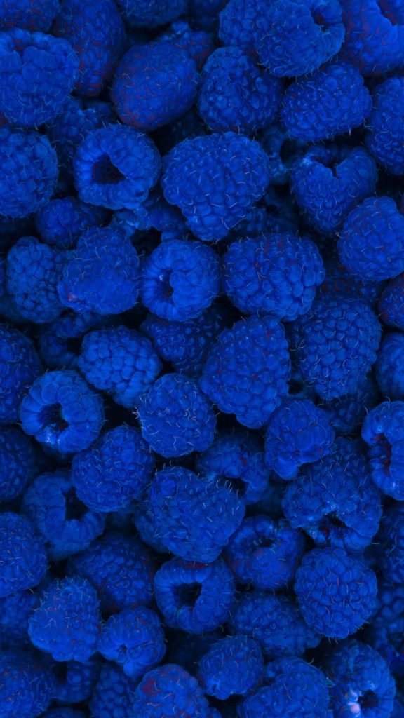 Cool blueberry wallpaper
