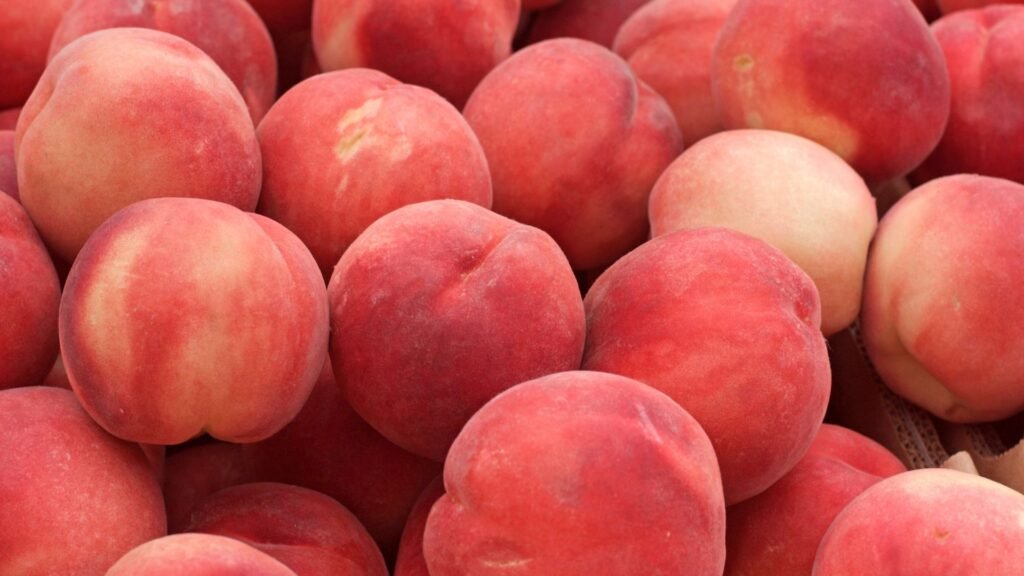 Cute peach wallpaper for iPhone