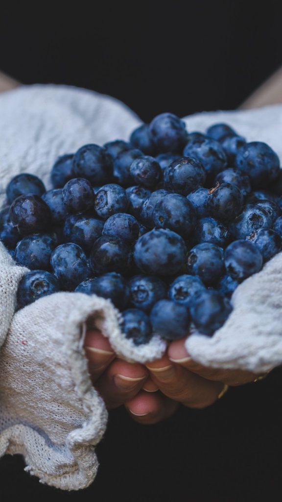 Delicate blueberry wallpaper