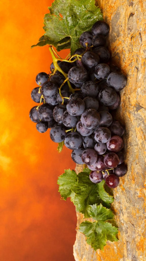 Delicate purple grapes wallpaper