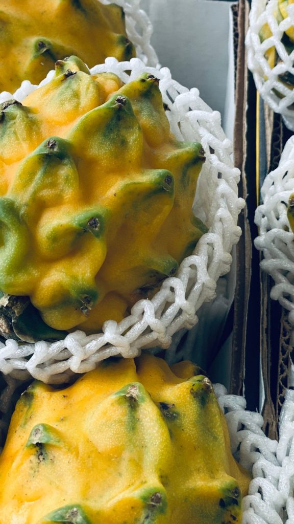 Farm fresh yellow dragon fruit wallpaper