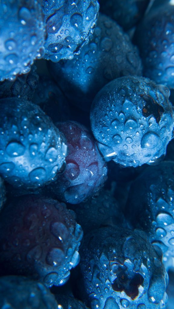 Fresh blueberry wallpaper