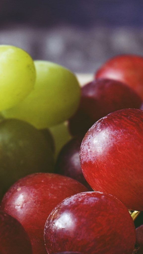 Green and red purple grapes wallpaper