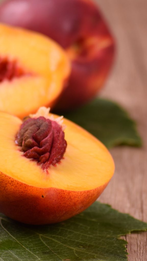 Green leaves peachy background peach wallpaper