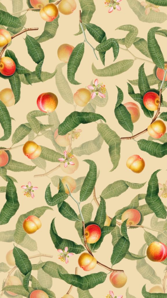Mandala peach wallpaper