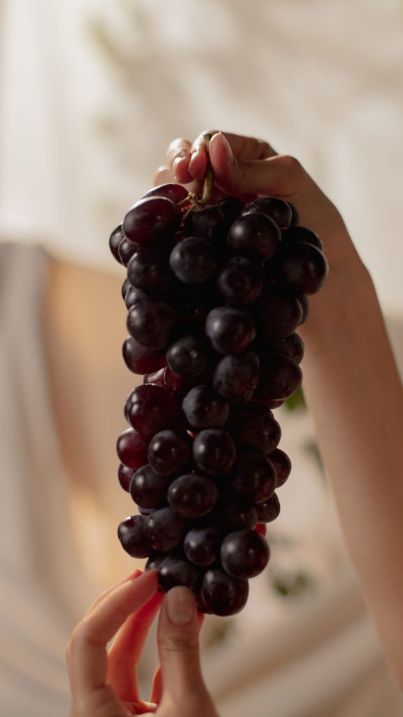 Maroonish purple grapes wallpaper