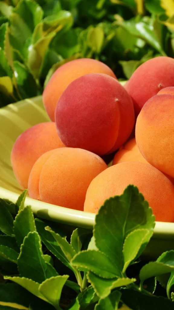 Peach platter peach wallpaper