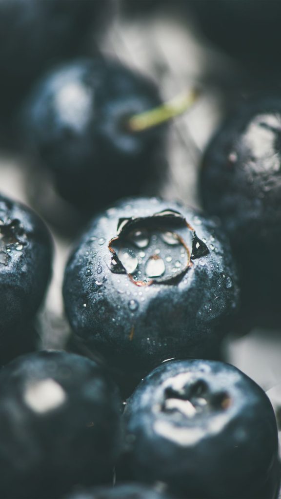 Photograph blueberry wallpaper