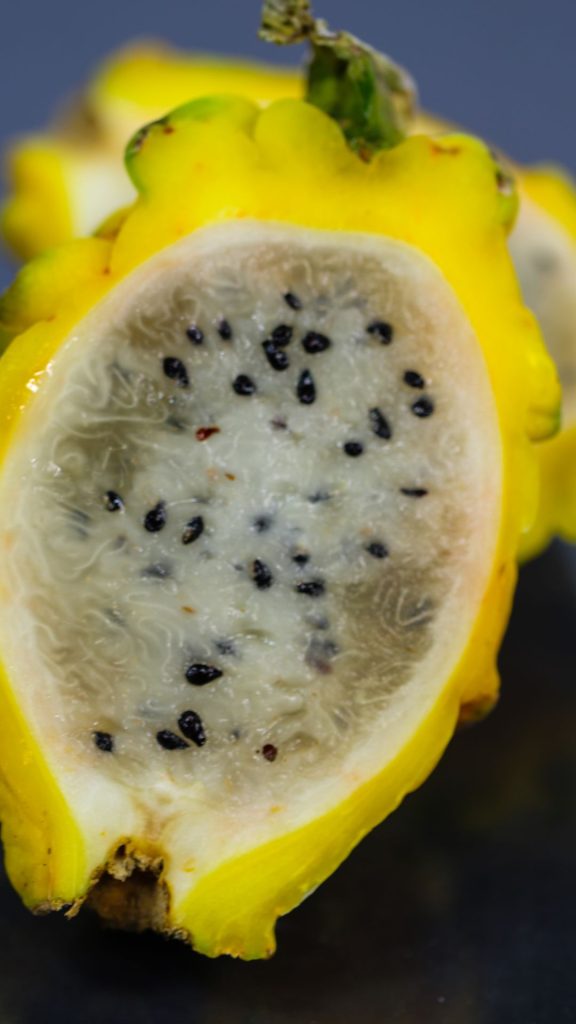 Photography yellow dragon fruit wallpaper