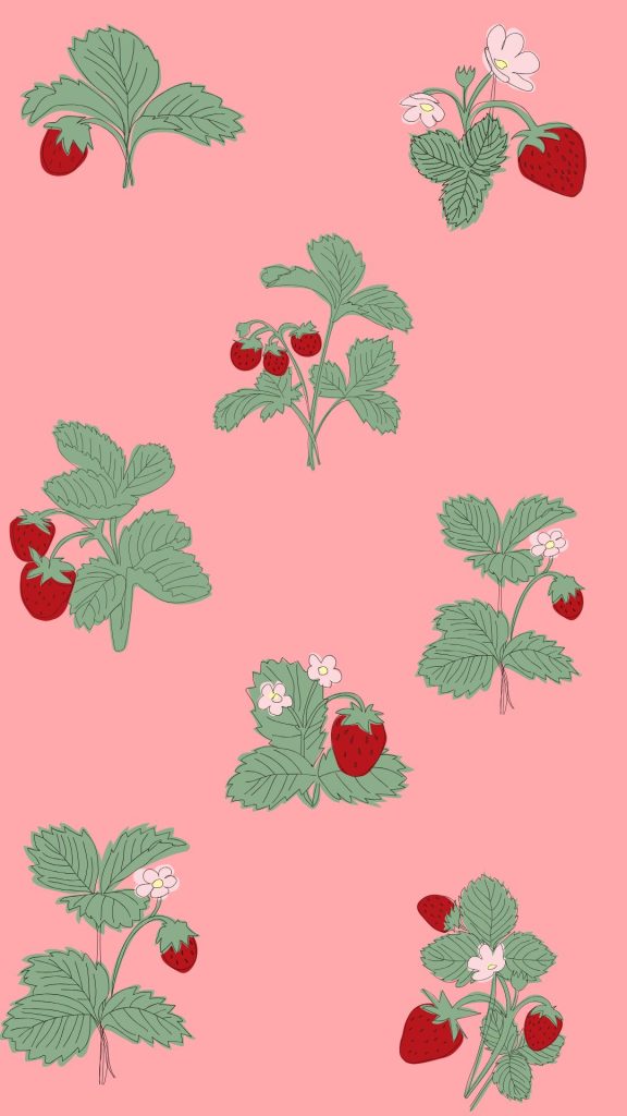 Strawberries with flowers and pink background beautiful strawberry wallpapers