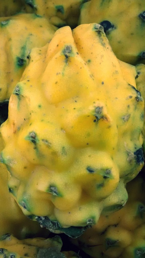 Sweet and delicate yellow dragon fruit wallpaper