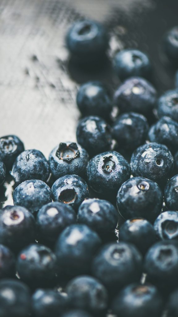 Vintage & minimal blueberry wallpaper